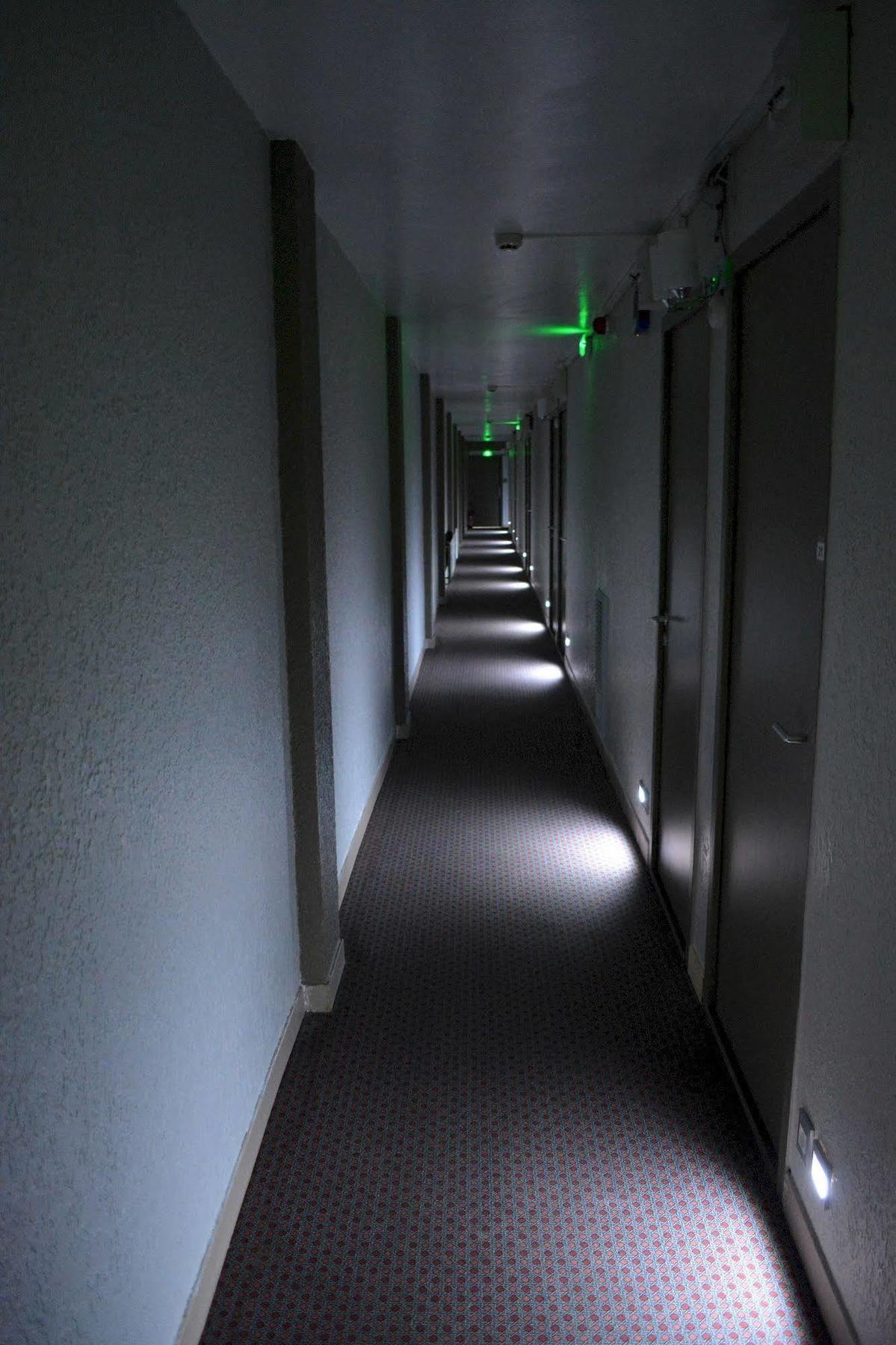 Hotel Le Lyon Bron Luaran gambar